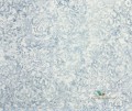 Tapeta P602/08 Designers Guild Contarini