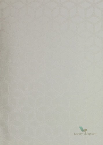 Tapeta Harlequin Momentum 2 110377 Trellis