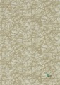 Tapeta 111852 Shatter Anthology 05