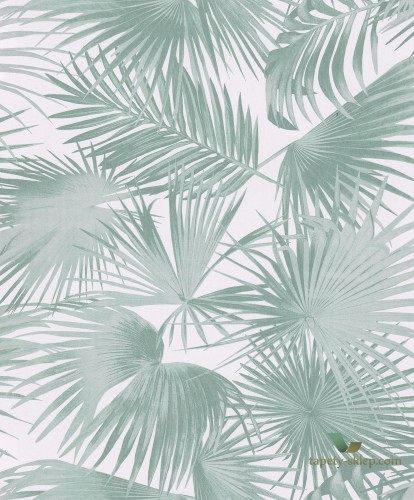 Tapeta palmowe liście Khroma WIL109 Ratan Wild