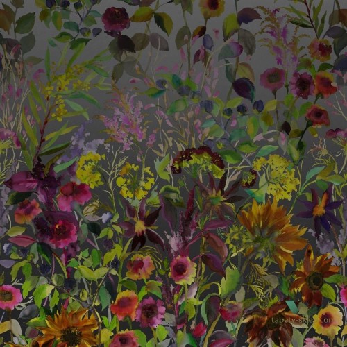 Mural Designers Guild PDG1068/01 Indian Sunflower