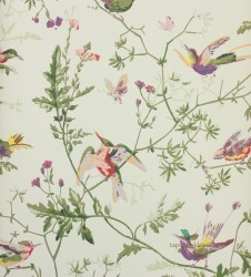 Tapeta 100/14070 Cole & Son Archive Anthology Hummingbirds