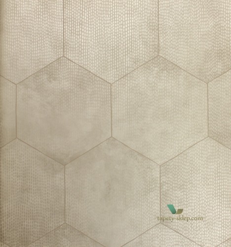 Tapeta Cole & Son 107/6029 Mineral Curio