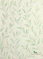 Tapeta liście Sanderson 216409 Osier Chiswick Grove