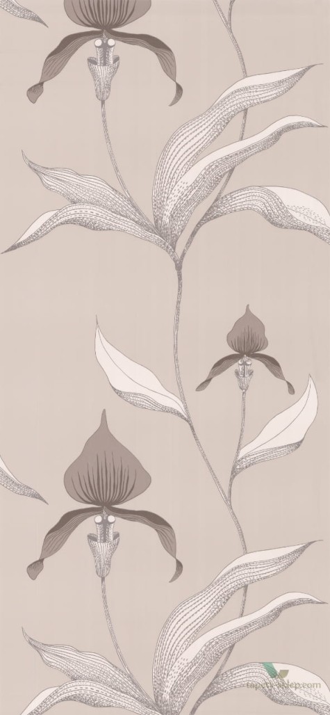 Tapeta Cole & Son Contemporary Restyled Orchid 95/10058