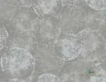 Tapeta Wallquest OT71308 Canvas Textures