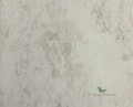 Tapeta Designers Guild PDG716/02 Jardin des plantes