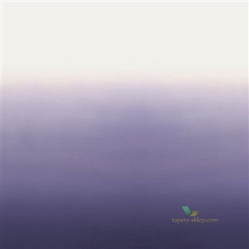 Fototapeta P600/10 Designers Guild Contarini