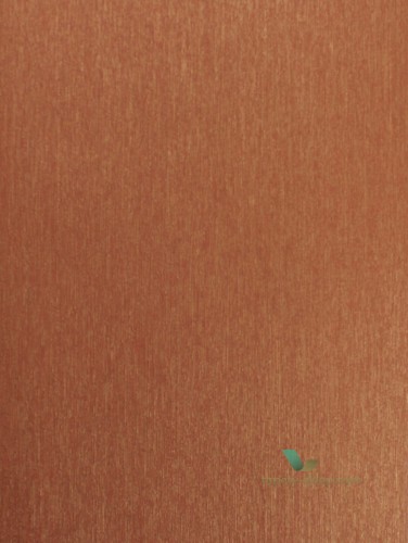 Tapeta Colani 56343 Evolution