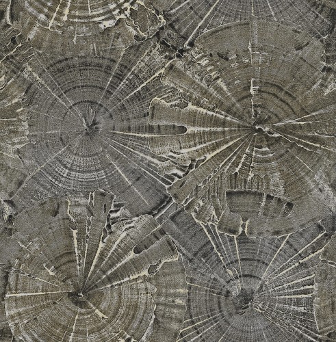 Tapeta Carl Robinson CR76003 Sea Glass 15