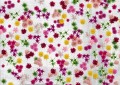 Fototapeta Wall&Deco Profumo WDPO1602 Contemporary 2016