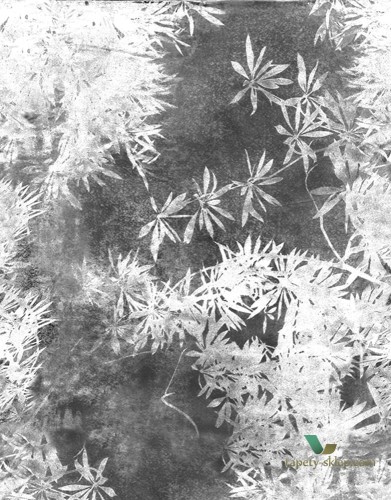 Fototapeta Wall&Deco WDVI1802 VIRIDE Contemporary 2018