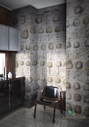 Fototapeta Wall&Deco WDPC1801 POMMES A CIDRE Contemporary 2018