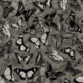 Fototapeta Wall&Deco Catch-me WDCM1502 Contemporary 15