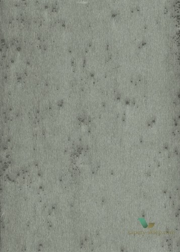 Tapeta Blacha Arte 37513 Stellar Metal X Signum