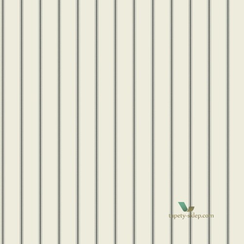 Tapeta Galeria G67562 Smart Stripes 2