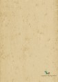Tapeta Blacha Arte 37518 Stellar Metal X Signum