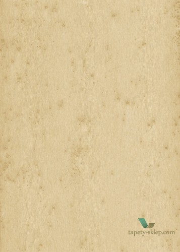 Tapeta Blacha Arte 37518 Stellar Metal X Signum