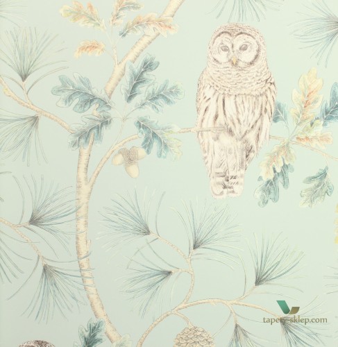Tapeta sowy i drzewa Sanderson 216596 Owlswick Elysian