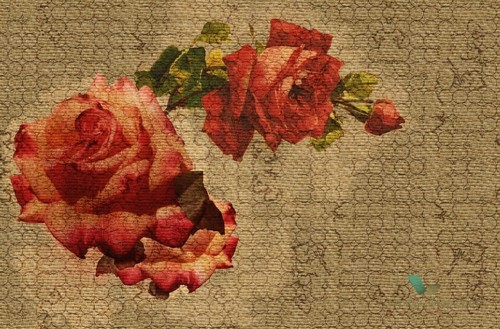 Tapeta Wall&Deco Cutting fowers GPW1437 Contemporary 14