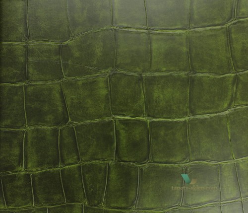 Tapeta Imitacja Skóry Krokodyla Elitis VP42330 Big Croco