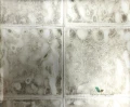 Tapeta PDG646/05 Palasini Designers Guild