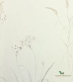 Tapeta łąka Sanderson 216487 Farne Grasses