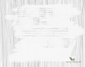 Fototapeta Wall&Deco Courier lines WDCL1601 Contemporary 2016