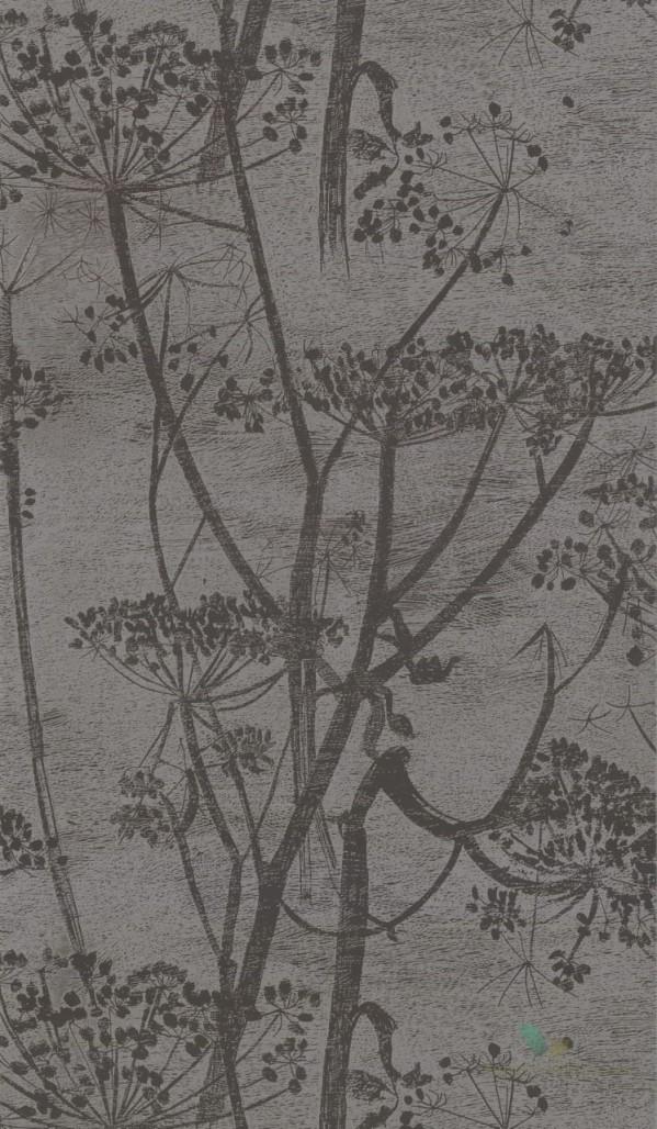 Tapeta Cole & Son Contemporary Restyled Cow Parsley 95/9050