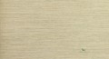 Tapeta Thibaut T57190 Arrowroot Texture Resource 5
