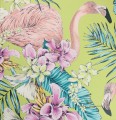 Tapeta Matthew Williamson W6800-02 Cubana