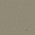 Tapeta Cole & Son 106/2020 Pebble Landscape Plains