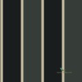 Tapeta Galeria G67544 Smart Stripes 2