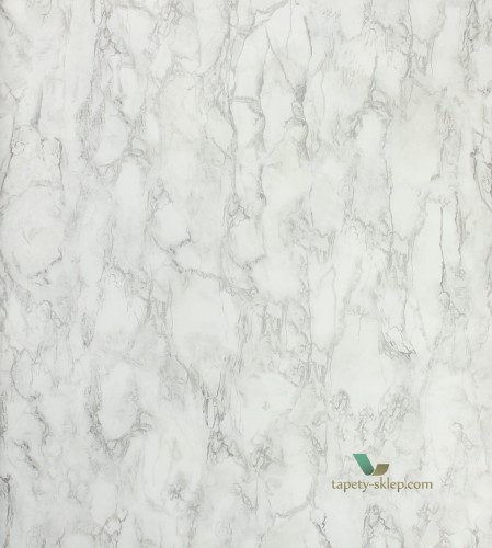 Tapeta Nina Campbell NCW4204-02 Fontibre