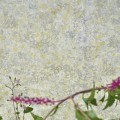 Tapeta Designers Guild PDG1025/03 Lustro Majolica