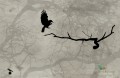 Tapeta Wall&Deco Crow GPW1416 Contemporary 14