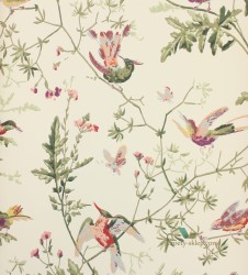 Tapeta 100/14071 Cole & Son Archive Anthology Hummingbirds