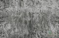 Tapeta London Art 18062 Eden