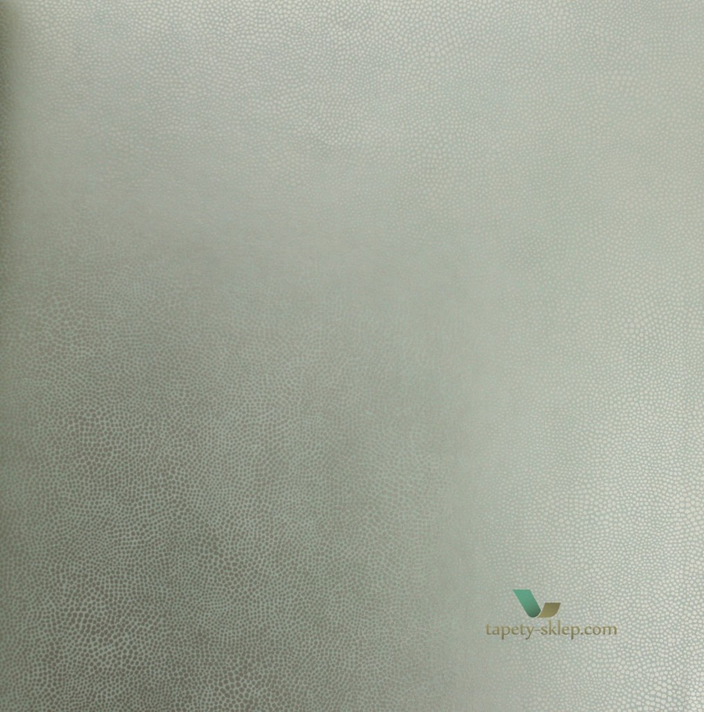 Tapeta Osborne and Little W6303-01 Wallpaper 7