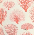 Tapeta Cole & Son 107/2011 Seafern Curio