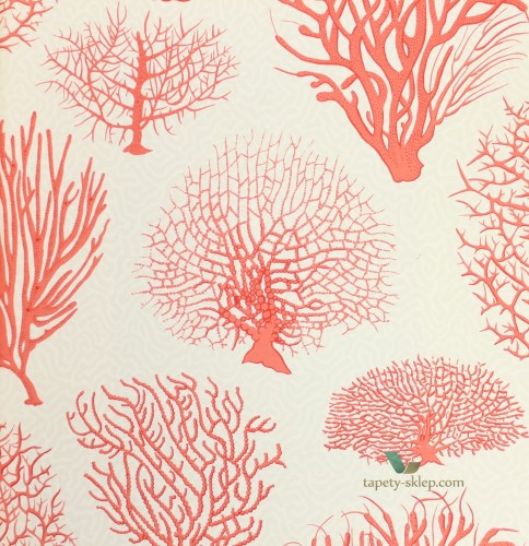 Tapeta Cole & Son 107/2011 Seafern Curio