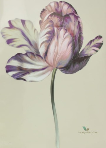 Naklejka Ekskluzywna Marburg Ulf Moritz Scala 74854