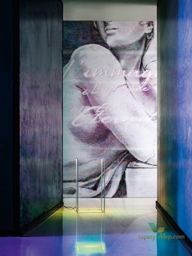 Fototapeta Wall&Deco WDFA1801 FAENNA Contemporary 2018