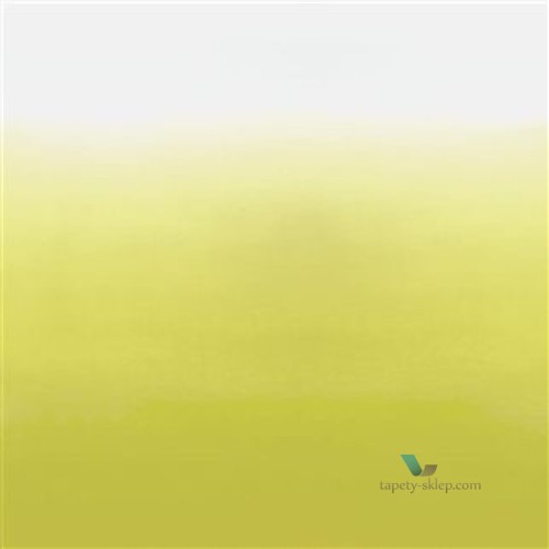 Fototapeta P600/03 Designers Guild Contarini