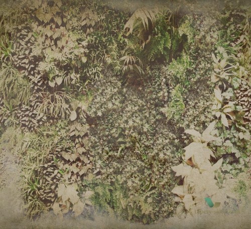 Fototapeta Wall&Deco Vertical Green WDVG1503 Contemporary 15