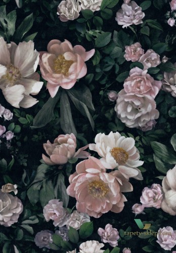 Mural w kwiaty Boras 7234 New Dawn Rose In Bloom