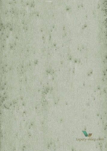 Tapeta Blacha Arte 37512 Stellar Metal X Signum