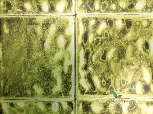 Tapeta PDG646/03 Palasini Designers Guild