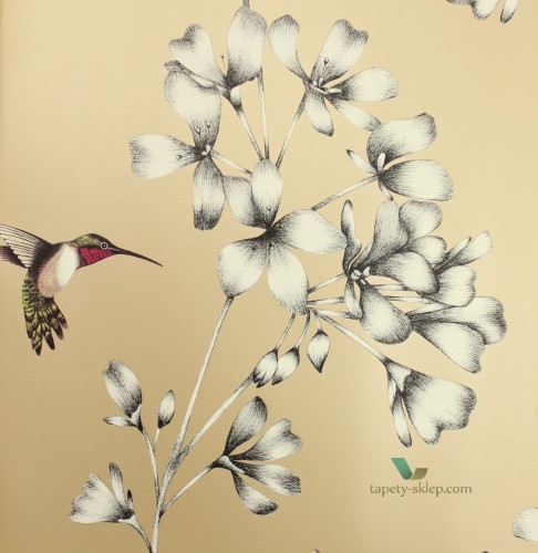 Tapeta Harlequin 111063 Amazilia