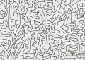 Tapeta Wall&Deco Black spaces WDBS1401 Contemporary 14